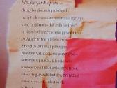 Plaukiojanti opera - nuotraukos Nr. 7