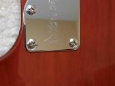 Fgn (Fujigen) Jil2-du-ew2-r/knb Japan - nuotraukos Nr. 11