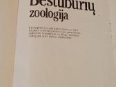 Bestuburių Zoologija - nuotraukos Nr. 2
