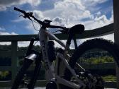 Focus sam 6.8 emtb - nuotraukos Nr. 2