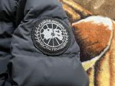 Canada goose striuke - nuotraukos Nr. 2