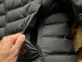 Canada goose striuke - nuotraukos Nr. 4