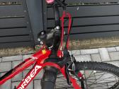 Orbea dviratis - nuotraukos Nr. 3