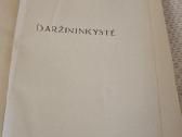 Daržininkystė - nuotraukos Nr. 2