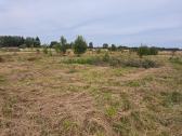 Širvintų raj. parduodami namų valdos sklypai - nuotraukos Nr. 7