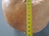 Senovine unikalią medžio gumbo skulptūrą - nuotraukos Nr. 12