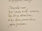 Albumai S.krasauskas "Moters gimimas" ir Grafika - nuotraukos Nr. 5