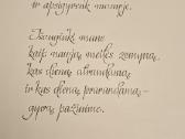 Albumai S.krasauskas "Moters gimimas" ir Grafika - nuotraukos Nr. 3