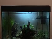 Akvariumas su spintele - nuotraukos Nr. 2