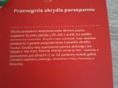 Skrydis parasparniu - nuotraukos Nr. 2