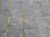 Šaligatvio plyteles. Plytelių pjovimo staklės - nuotraukos Nr. 2