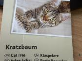 Kačių draskyklė Trixie - nuotraukos Nr. 4