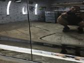 Auto poliravimas, žibintai, salonas - nuotraukos Nr. 16