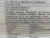 Elektrinis grandines galastuvas - nuotraukos Nr. 2