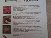 Sodininko vadovas - nuotraukos Nr. 8