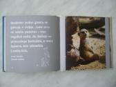 D. Baird - Juokis, ir pasaulis juoksis su tavimi - nuotraukos Nr. 3