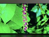 Sony Xr-65a90j Bravia 4k Vh2 120hz Oled TV - nuotraukos Nr. 3