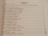 Lietuvos valstybės atkūrimas 1918 - 1920 - nuotraukos Nr. 3