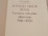 Lietuvos valstybės atkūrimas 1918 - 1920 - nuotraukos Nr. 2