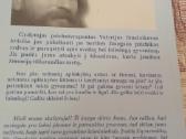 Skiepai nuo streso - nuotraukos Nr. 6