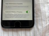 iPhone 8 256 GB bukle ideali, be krovimo laido - nuotraukos Nr. 5