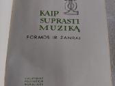 Kaip suprasti muziką - nuotraukos Nr. 2