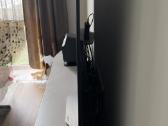 Televizorius LG Oled 55e7n - nuotraukos Nr. 3