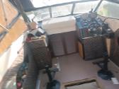 Kateris marex Dixie21 - nuotraukos Nr. 11