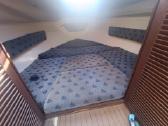 Kateris marex Dixie21 - nuotraukos Nr. 12