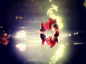 Betta //Plakat - nuotraukos Nr. 2