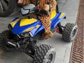 Traxxas X-Maxx 8S su dalimis