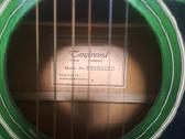 Gitara Tanglewood - nuotraukos Nr. 3
