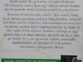 Trisdešimties metų moteris - nuotraukos Nr. 3