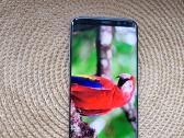 Samsung s8 - nuotraukos Nr. 2