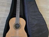 Klasikine gitara Santos Martinez Sm44 - nuotraukos Nr. 2
