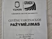Dovanojama vyresnė katytė - nuotraukos Nr. 5