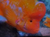 Samsung S24c300 Full HD monitorius - nuotraukos Nr. 16