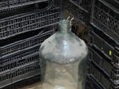 20 l. vintažiniai stiklo buteliai - nuotraukos Nr. 2