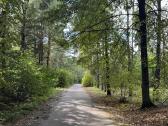 9 arų sodo sklypas su projektu puikioje vietoje - nuotraukos Nr. 12
