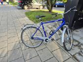 Panther Rasant 28" - nuotraukos Nr. 2