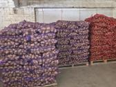 Bulvės didmena nuo 0,25 €/kg Pristatymas visoje - nuotraukos Nr. 2
