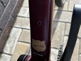 Trek Checkpoint Alr 5 Driftless GRX Gravel 58 cm - nuotraukos Nr. 7