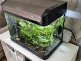 Akvariumas 80 L - nuotraukos Nr. 2