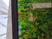 Samsung TV su defektu - nuotraukos Nr. 8