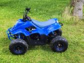 Parduodu keturati 125cc vaikiskas - nuotraukos Nr. 6
