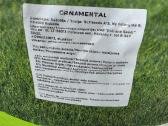 1 maišas vejos seklos Turfline Ornamental - nuotraukos Nr. 4