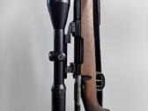 3006 Hubertus - nuotraukos Nr. 2