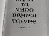 Graži tu, mano brangi tėvyne - nuotraukos Nr. 2
