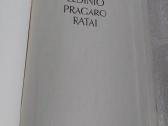Ledinio pragaro ratai - nuotraukos Nr. 2