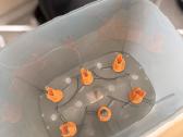 Baby Brezza buteliukų sterilizatorius - nuotraukos Nr. 7